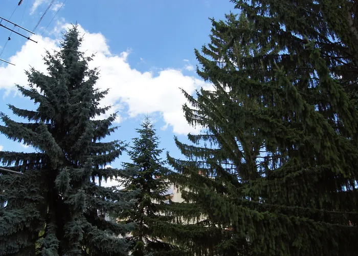 شقة Altstadthaus Cityappartements *